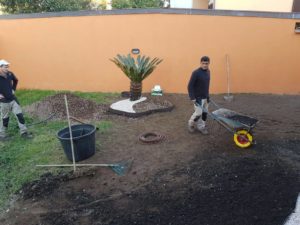 Realizzazione nuovo giardino Giardiniere Giardinaggio Impianto irrigazione Roma