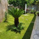 Realizzazione nuovo giardino Giardiniere Giardinaggio Impianto irrigazione Roma